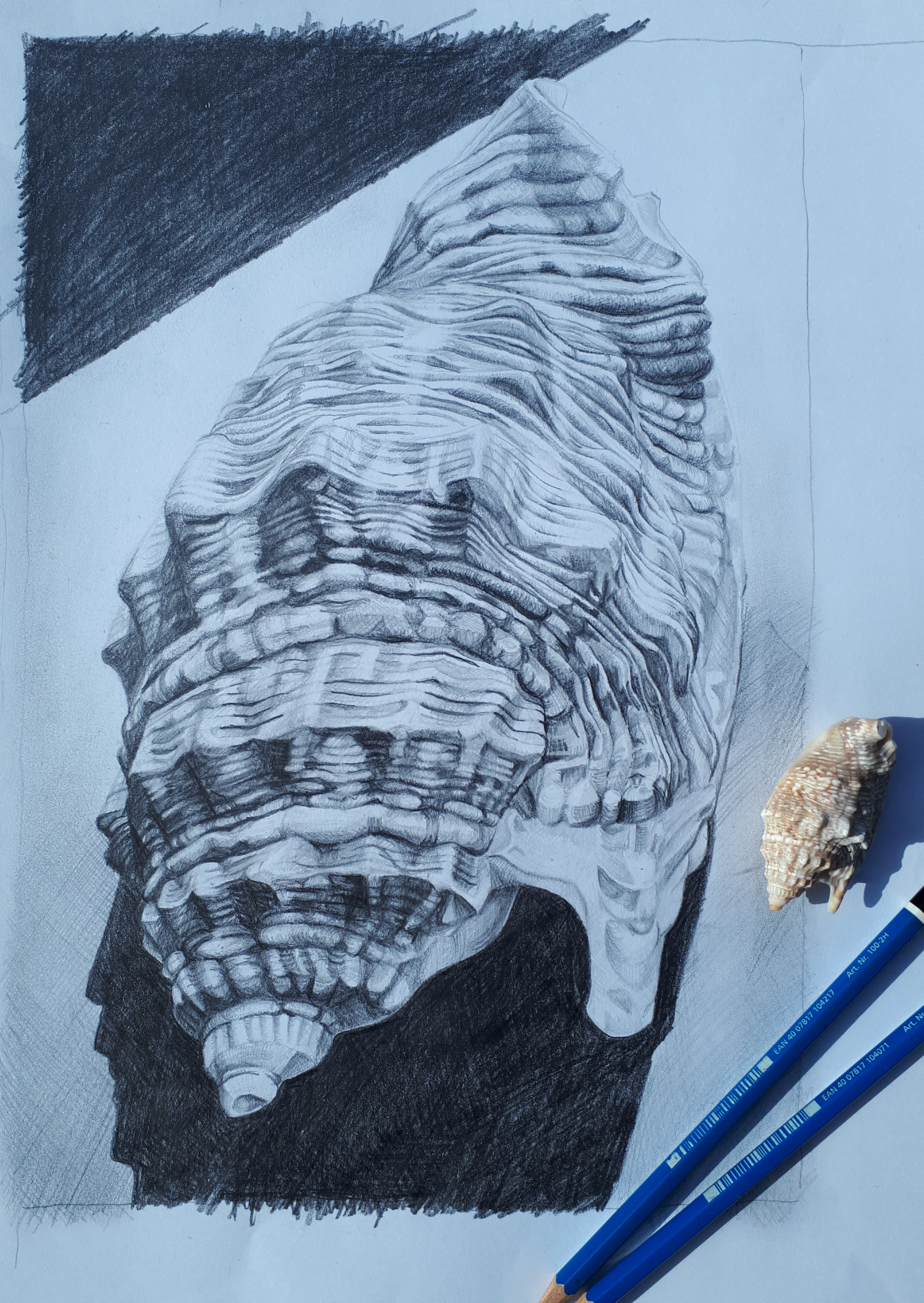 This image has an empty alt attribute; its file name is image-2.png